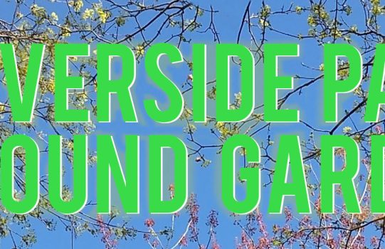 Riverside Park Sound Garden 5/14/2022