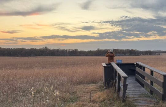 FESTIVAL Of BELONGING